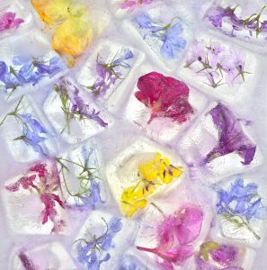 Flowers Cubed · 2014 · 20 x 20 in.